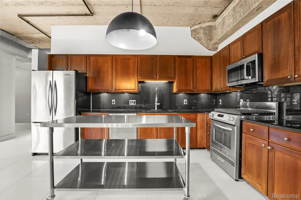 315 2nd Street #301 Ann Arbor City, MI 48103