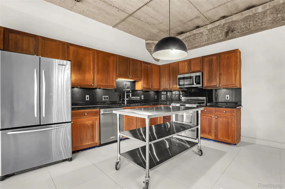 315 2nd Street #301 Ann Arbor City, MI 48103