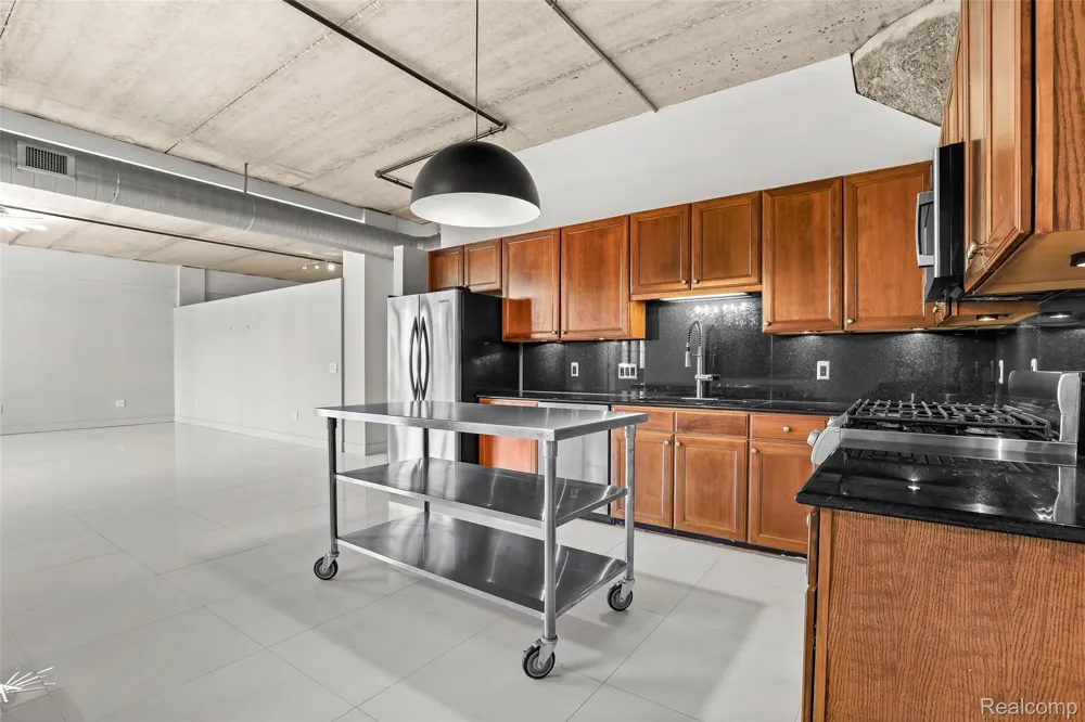 315 2nd Street #301 Ann Arbor City, MI 48103