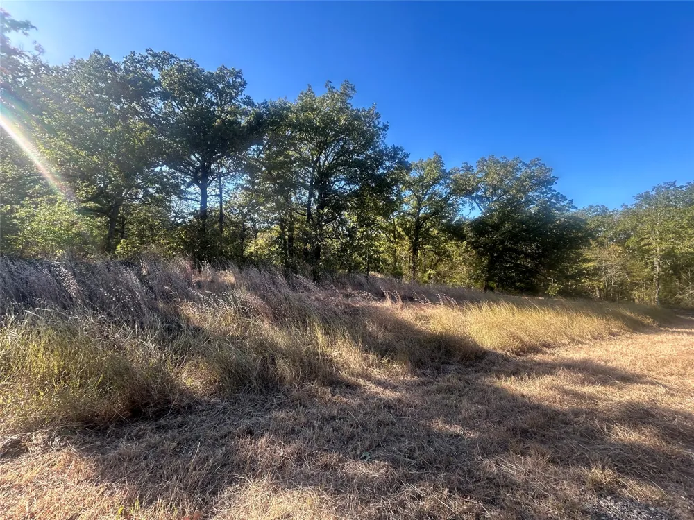 58 Point Lavista Malakoff, TX 75148