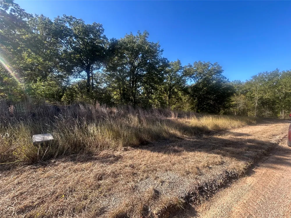 58 Point Lavista Malakoff, TX 75148