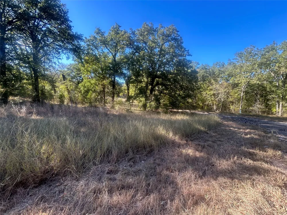 58 Point Lavista Malakoff, TX 75148