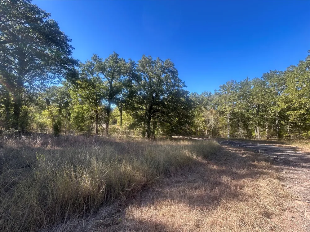 58 Point Lavista Malakoff, TX 75148
