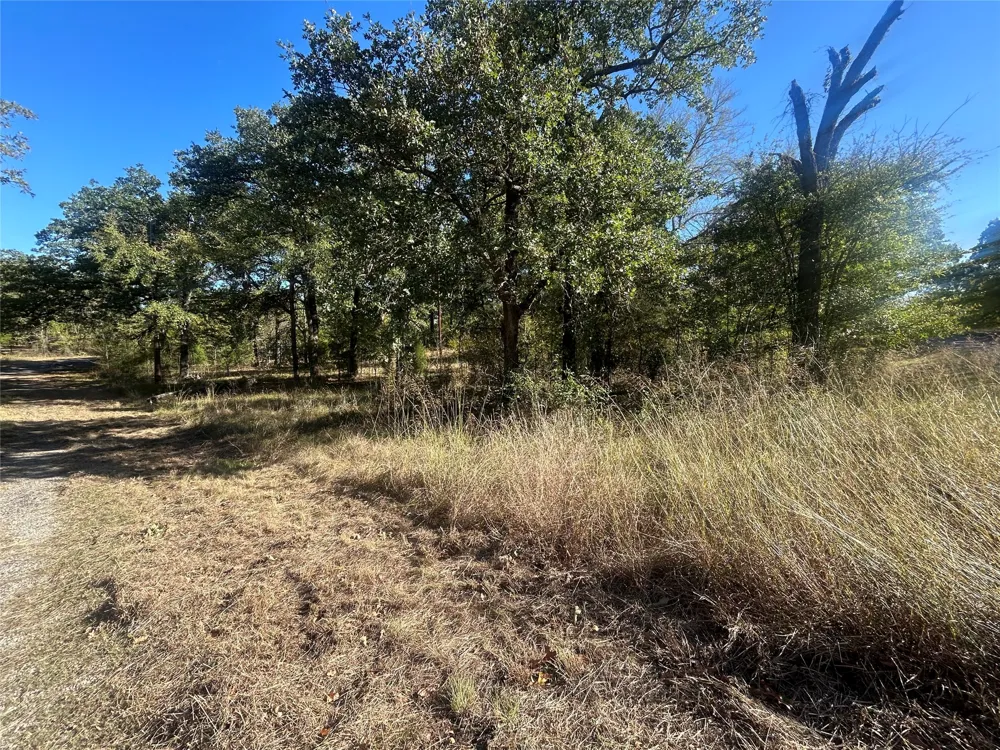 58 Point Lavista Malakoff, TX 75148