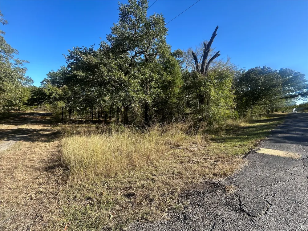 58 Point Lavista Malakoff, TX 75148
