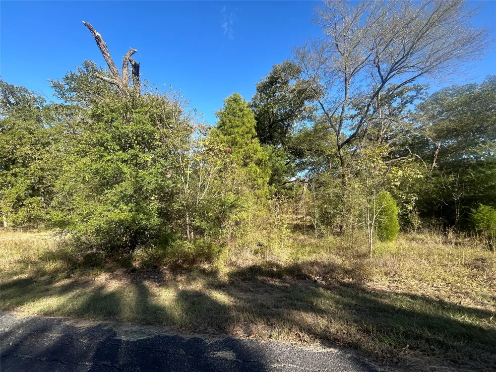 58 Point Lavista Malakoff, TX 75148