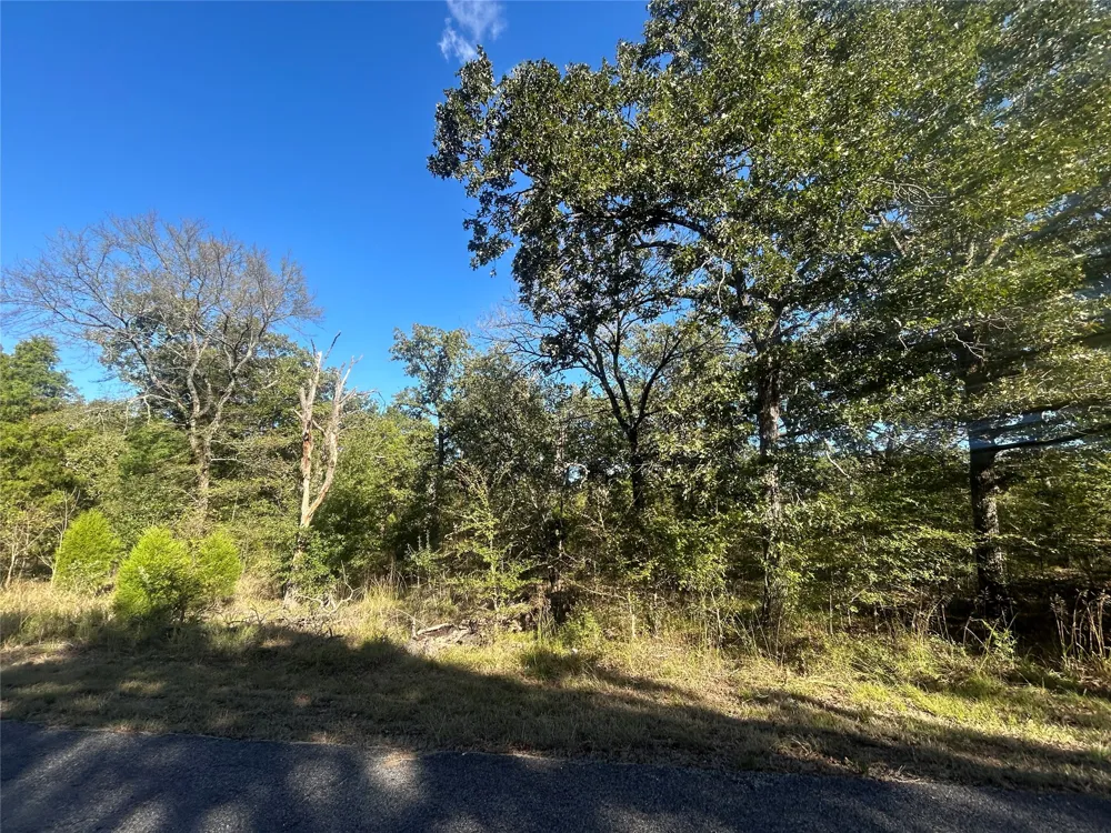 58 Point Lavista Malakoff, TX 75148