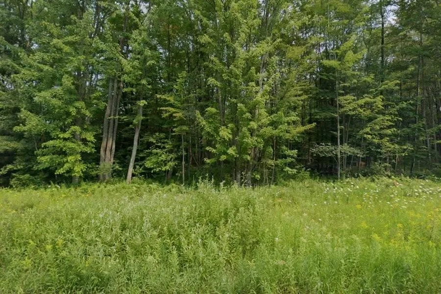 North Street Colfax Township, MI 49683