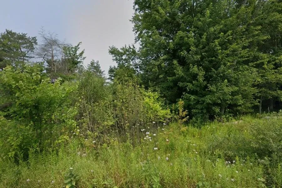 North Street Colfax Township, MI 49683
