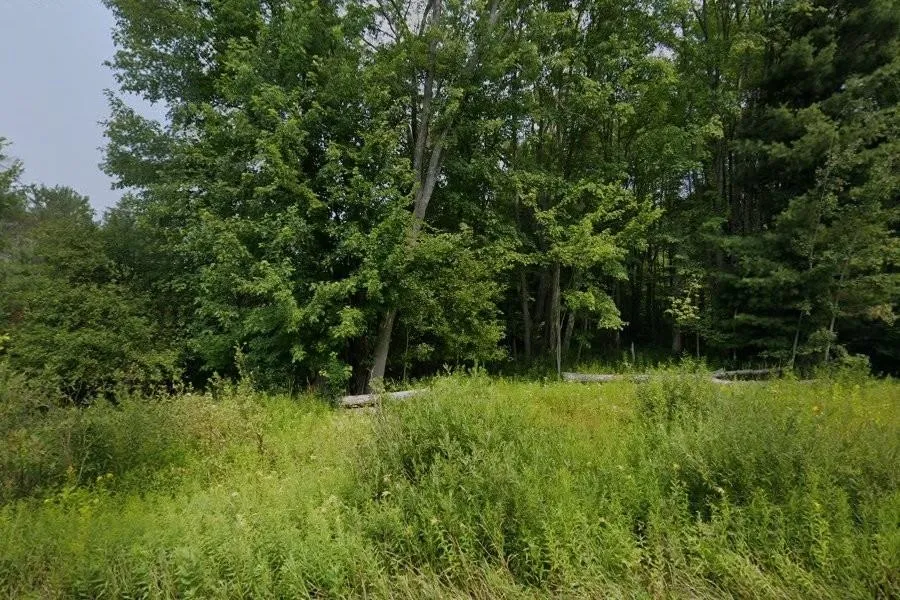 North Street Colfax Township, MI 49683