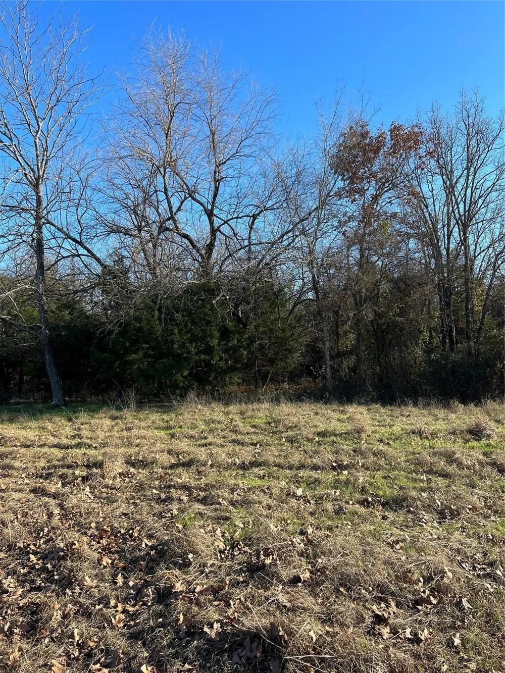 2415 Honey Grove, TX 75446
