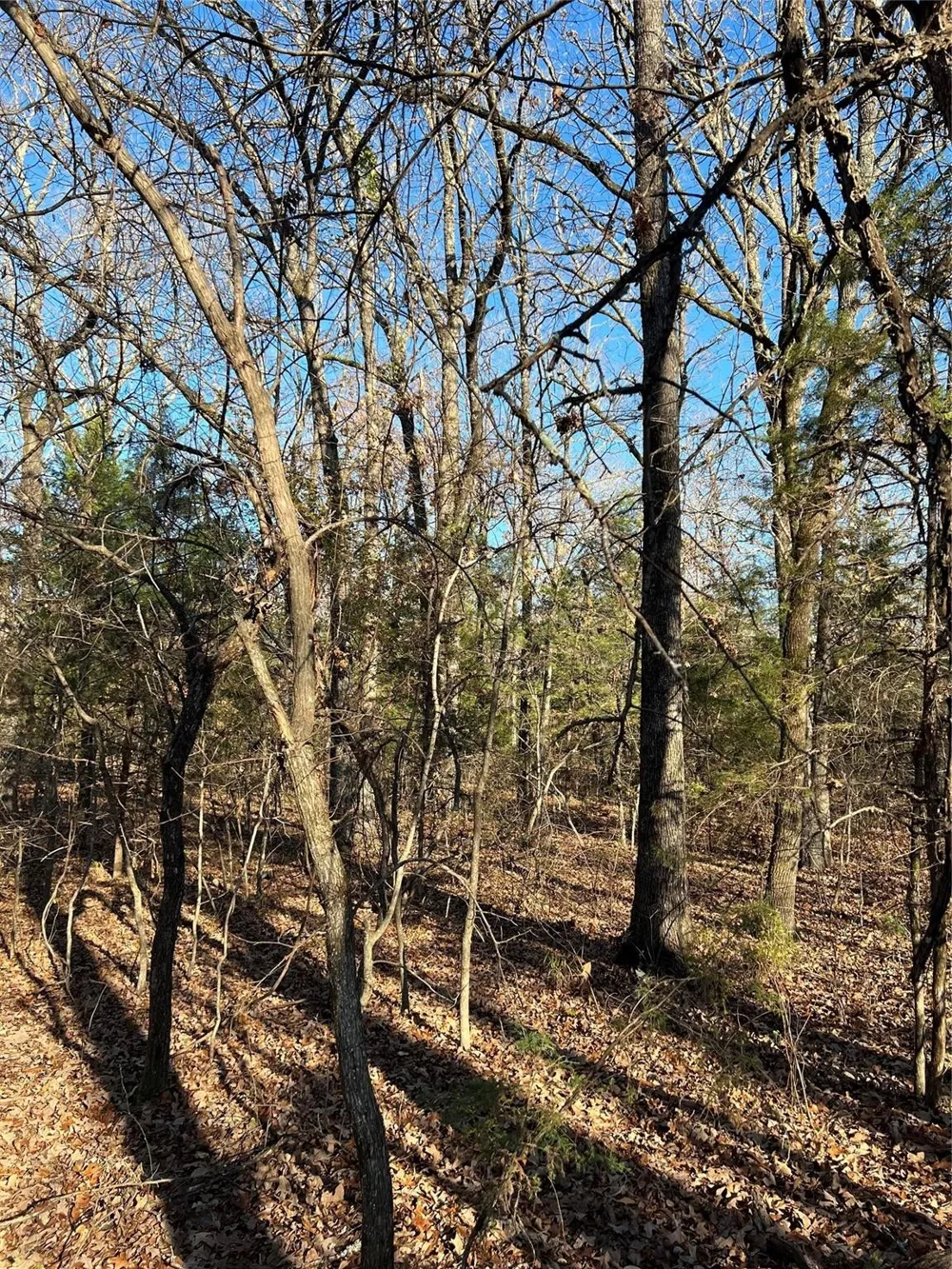 2415 Honey Grove, TX 75446