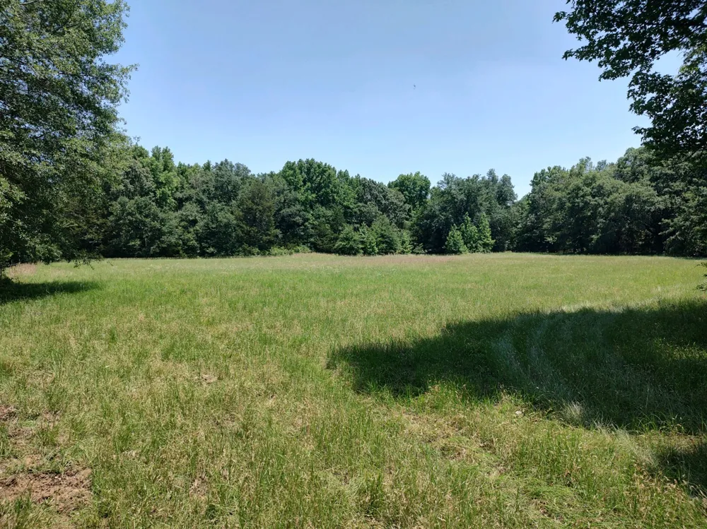 County Road 1807 Yantis, TX 75497