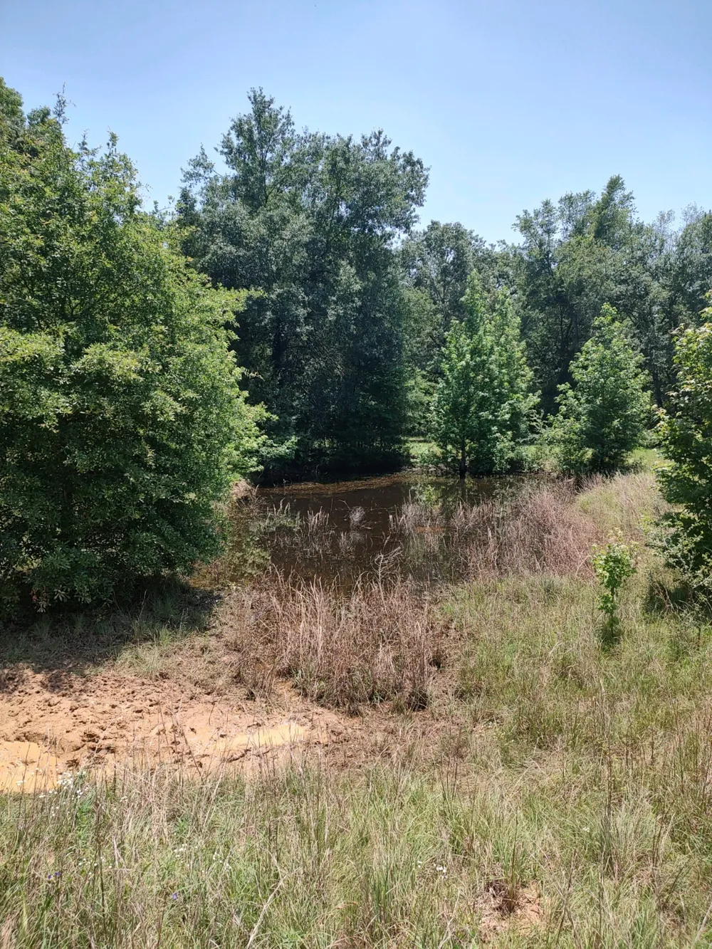 County Road 1807 Yantis, TX 75497