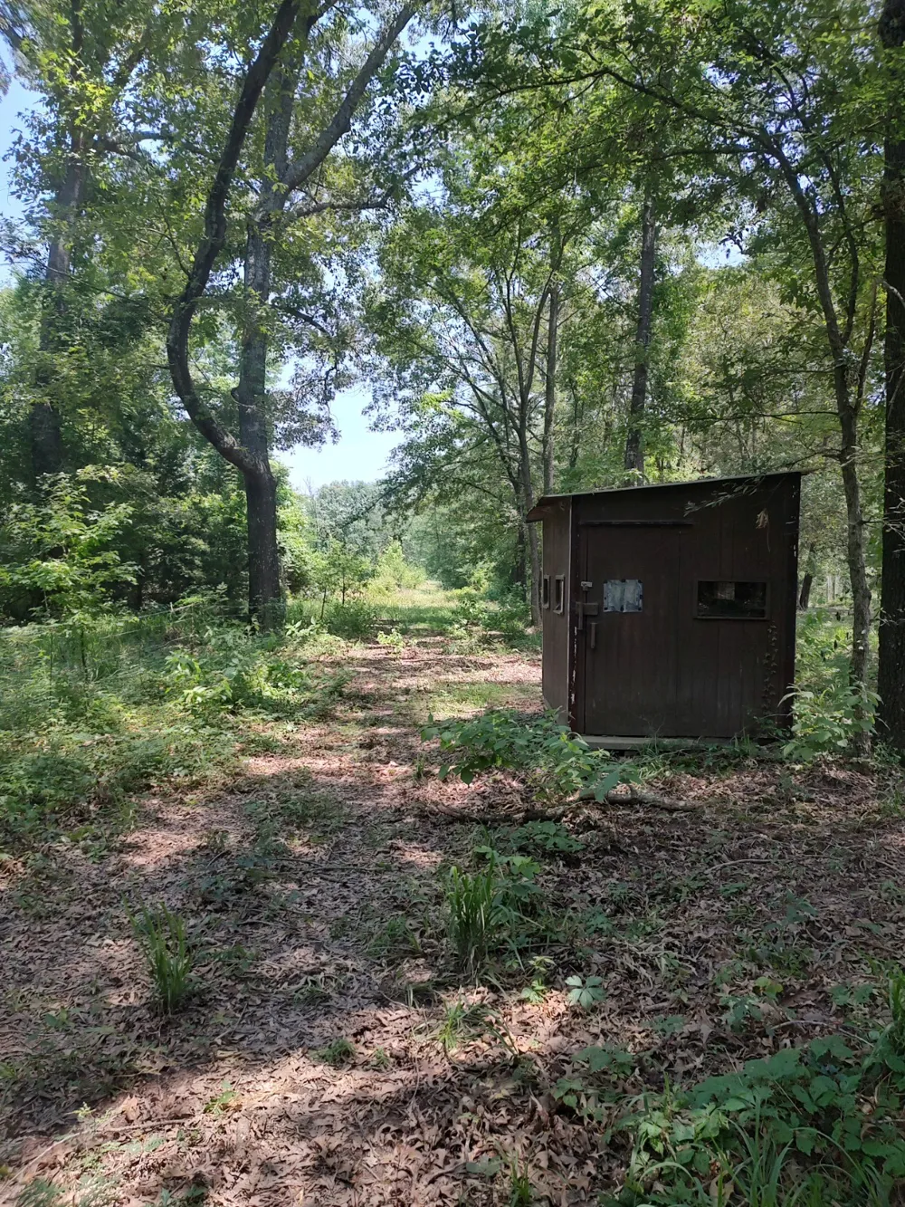 County Road 1807 Yantis, TX 75497
