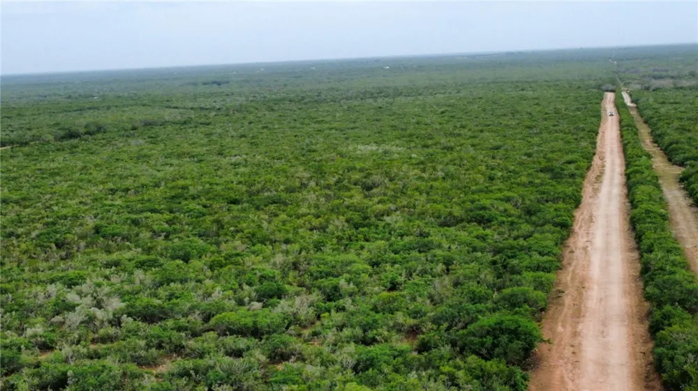 County Road 103 San Diego, TX 78384