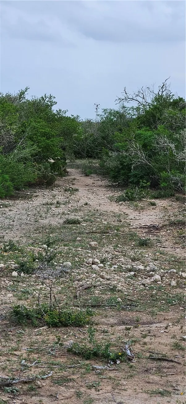 County Road 103 San Diego, TX 78384