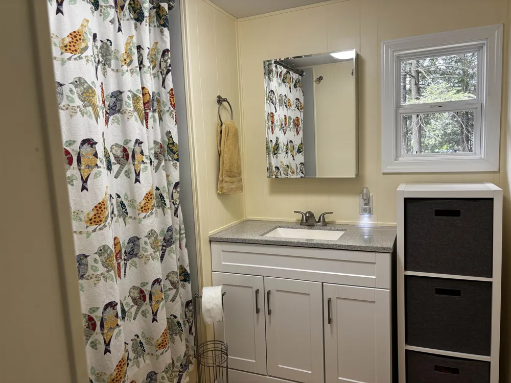 1158 East Lake Drive Orange Township, MI 49646