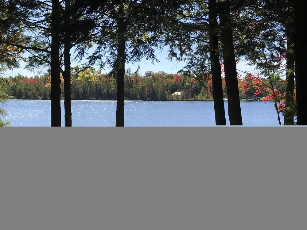 1158 East Lake Drive Orange Township, MI 49646