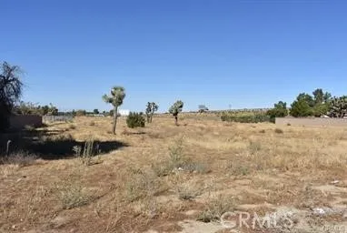 1239 Ave O8 Palmdale, CA 93551