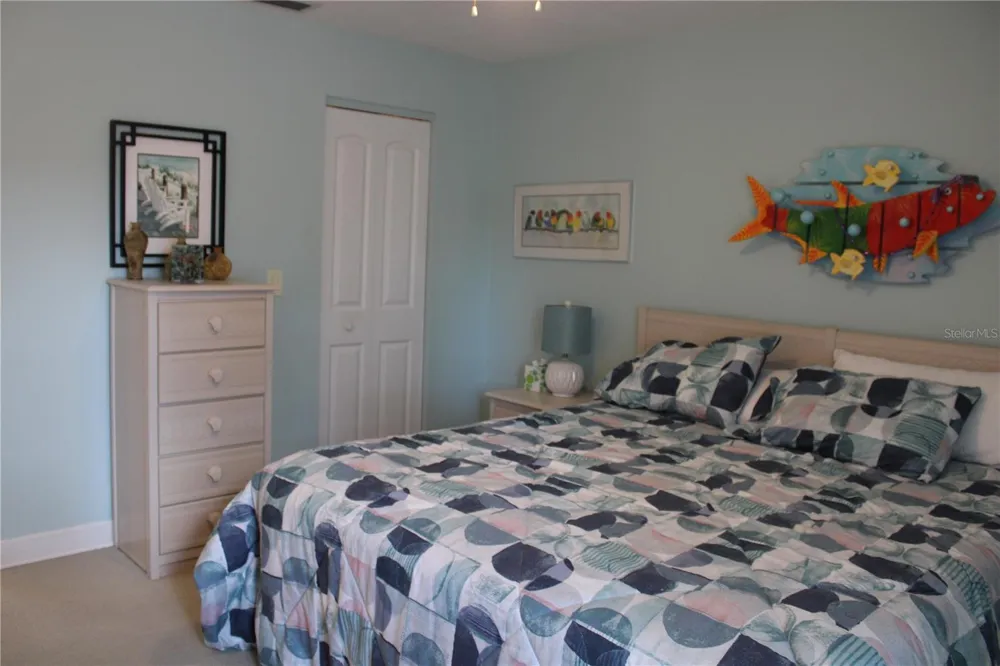 335 WINDRUSH LOOP #335 Tarpon Springs, FL 34689