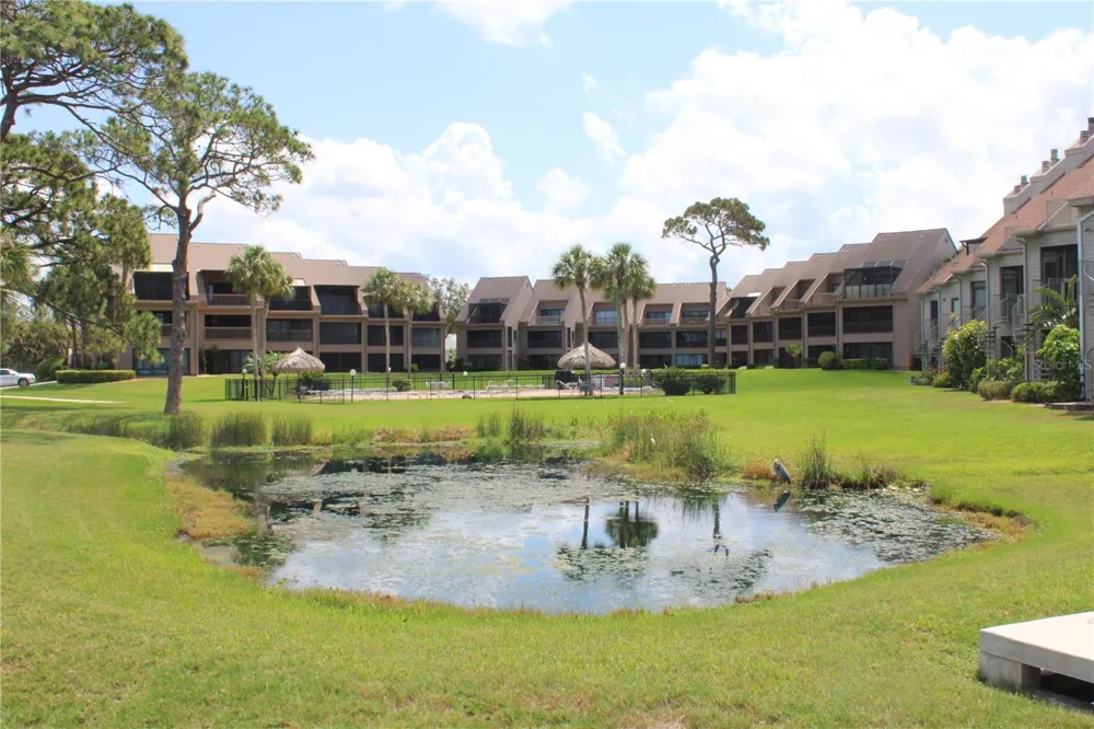335 WINDRUSH LOOP #335 Tarpon Springs, FL 34689