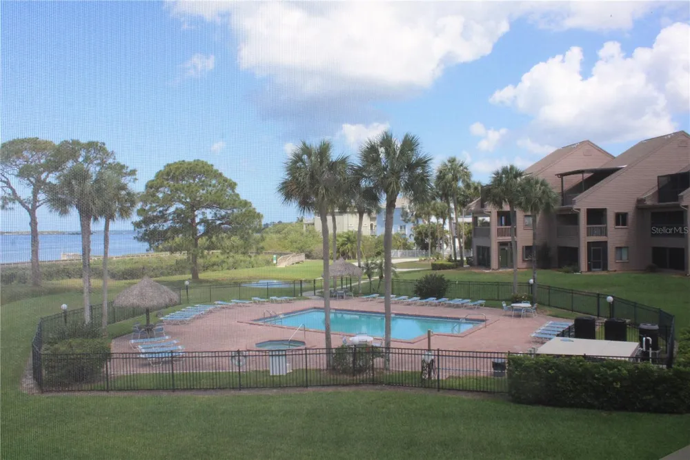 335 WINDRUSH LOOP #335 Tarpon Springs, FL 34689