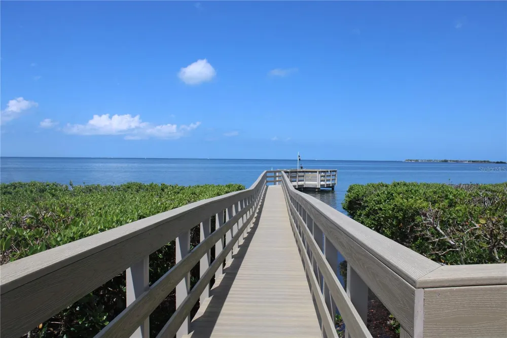 335 WINDRUSH LOOP #335 Tarpon Springs, FL 34689
