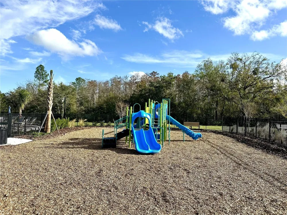 3244 SKYLINE LOOP Kissimmee, FL 34758