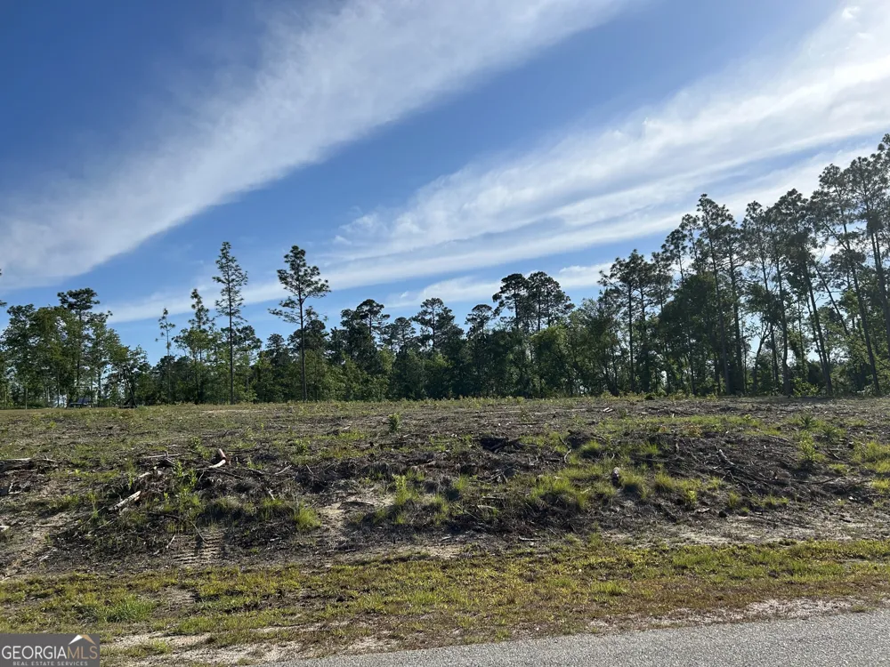 170 Julie DR Vidalia, GA 30474