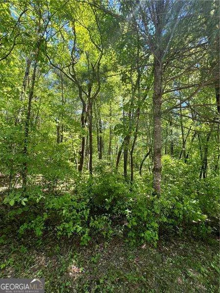 0 Sunrise Valley RD Blue Ridge, GA 30513