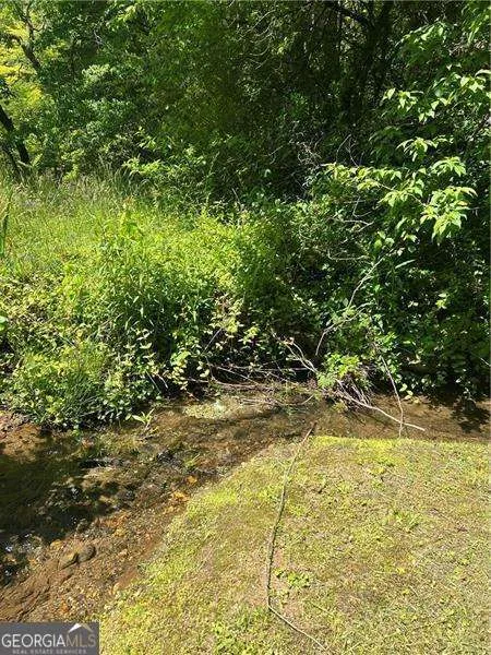 0 Sunrise Valley RD Blue Ridge, GA 30513