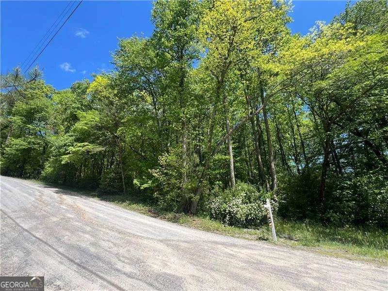 0 Sunrise Valley RD Blue Ridge, GA 30513