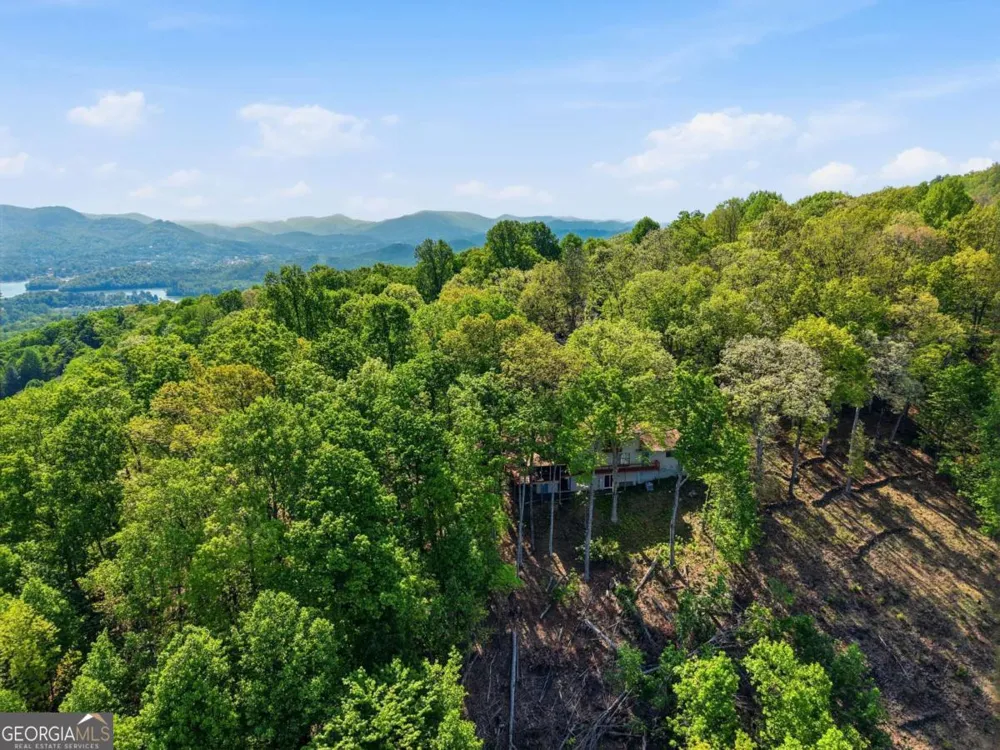 860 Frog Pond RD Hiawassee, GA 30546