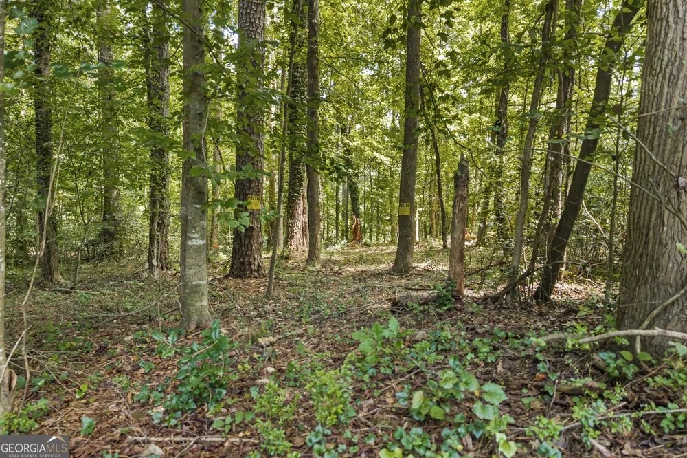 474 Lewis DR Lavonia, GA 30553