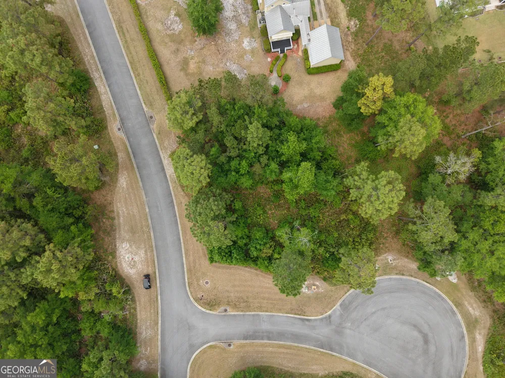 LOT 15 Blue Heron TRL Waverly, GA 31565