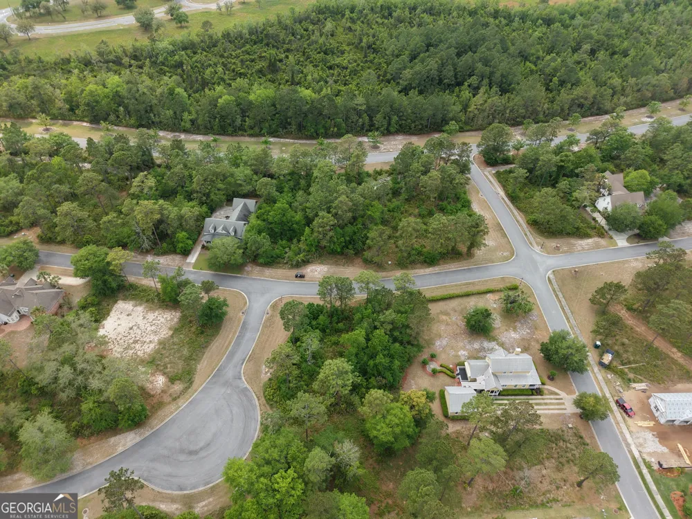 LOT 15 Blue Heron TRL Waverly, GA 31565