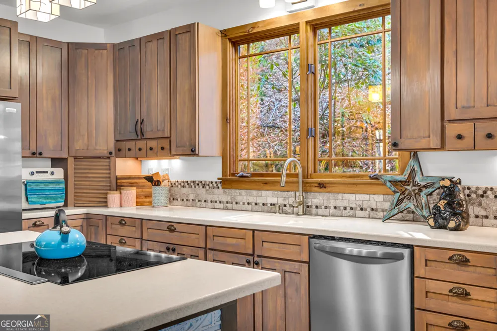 740 Little Rock Creek RD Cherry Log, GA 30522
