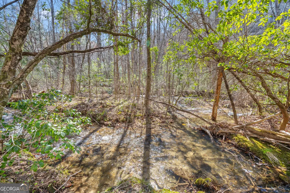 740 Little Rock Creek RD Cherry Log, GA 30522