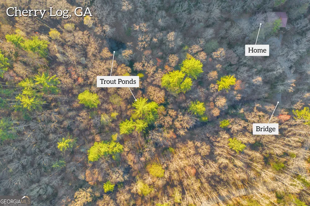 740 Little Rock Creek RD Cherry Log, GA 30522