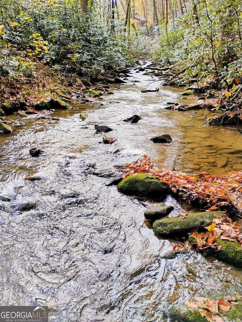 740 Little Rock Creek RD Cherry Log, GA 30522