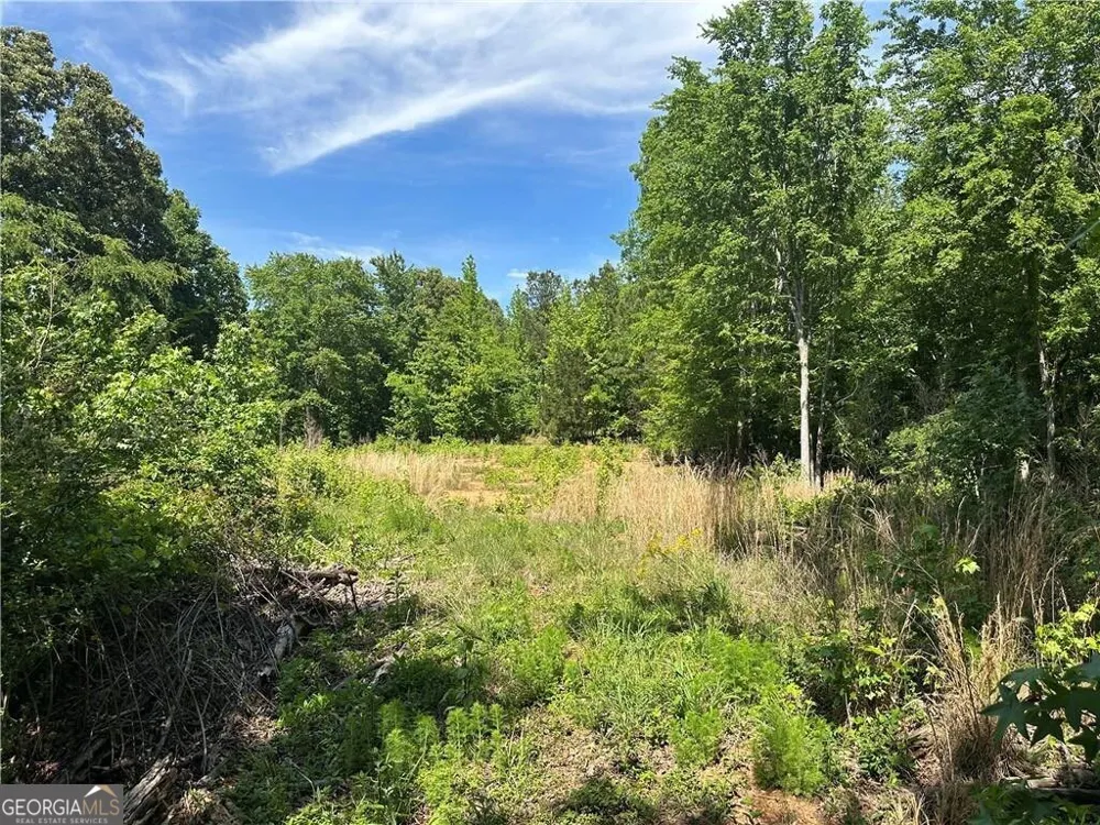 127 Sam Sutton RD NW Adairsville, GA 30103