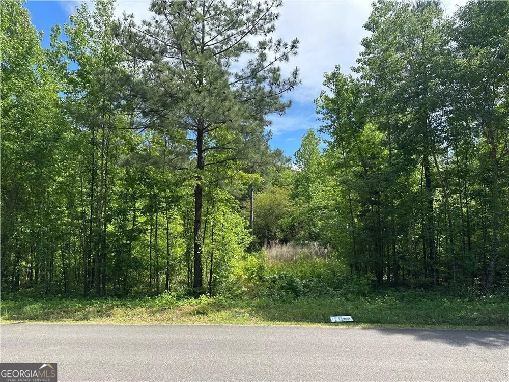 127 Sam Sutton RD NW Adairsville, GA 30103