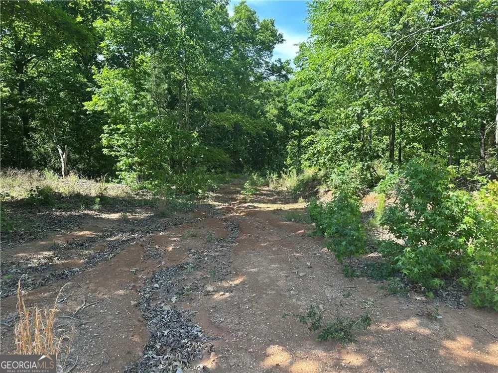 127 Sam Sutton RD NW Adairsville, GA 30103