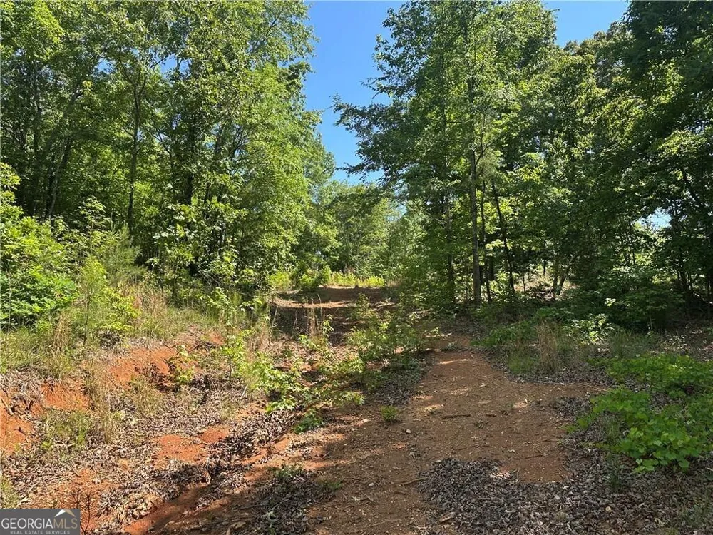 127 Sam Sutton RD NW Adairsville, GA 30103