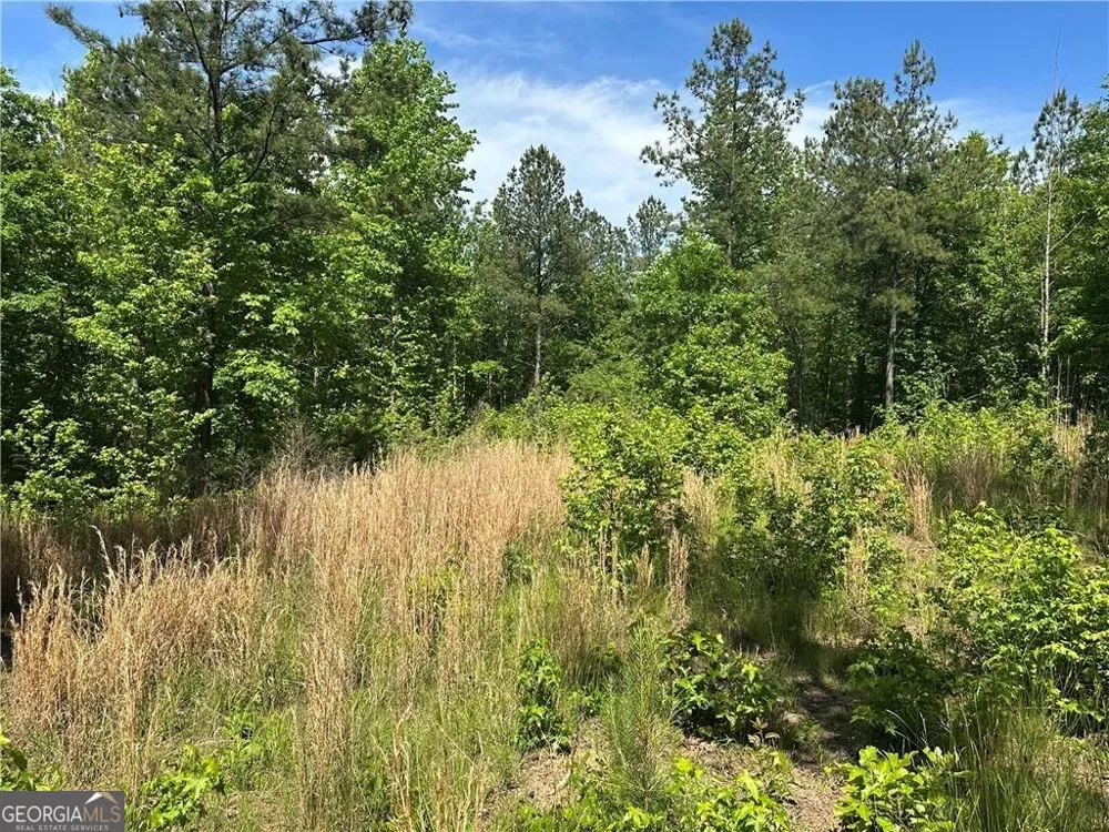 127 Sam Sutton RD NW Adairsville, GA 30103