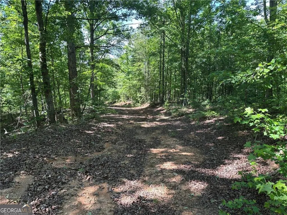 127 Sam Sutton RD NW Adairsville, GA 30103