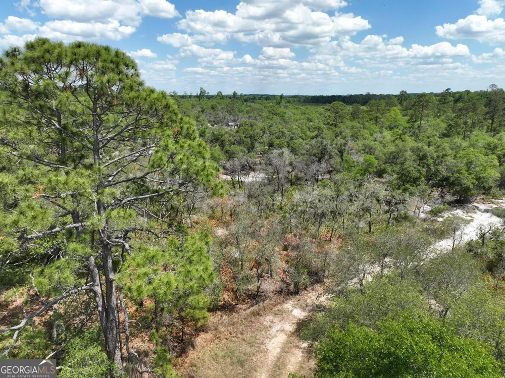 8 Old Highway 46   (24.84 ac) Twin City, GA 30471