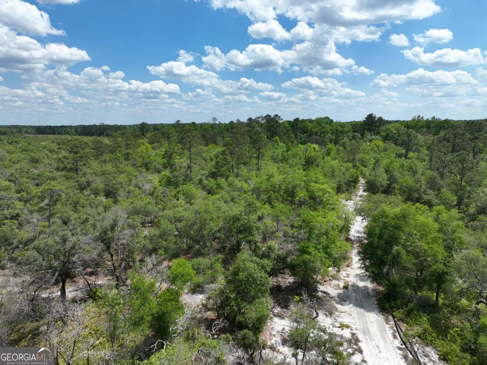 8 Old Highway 46   (24.84 ac) Twin City, GA 30471