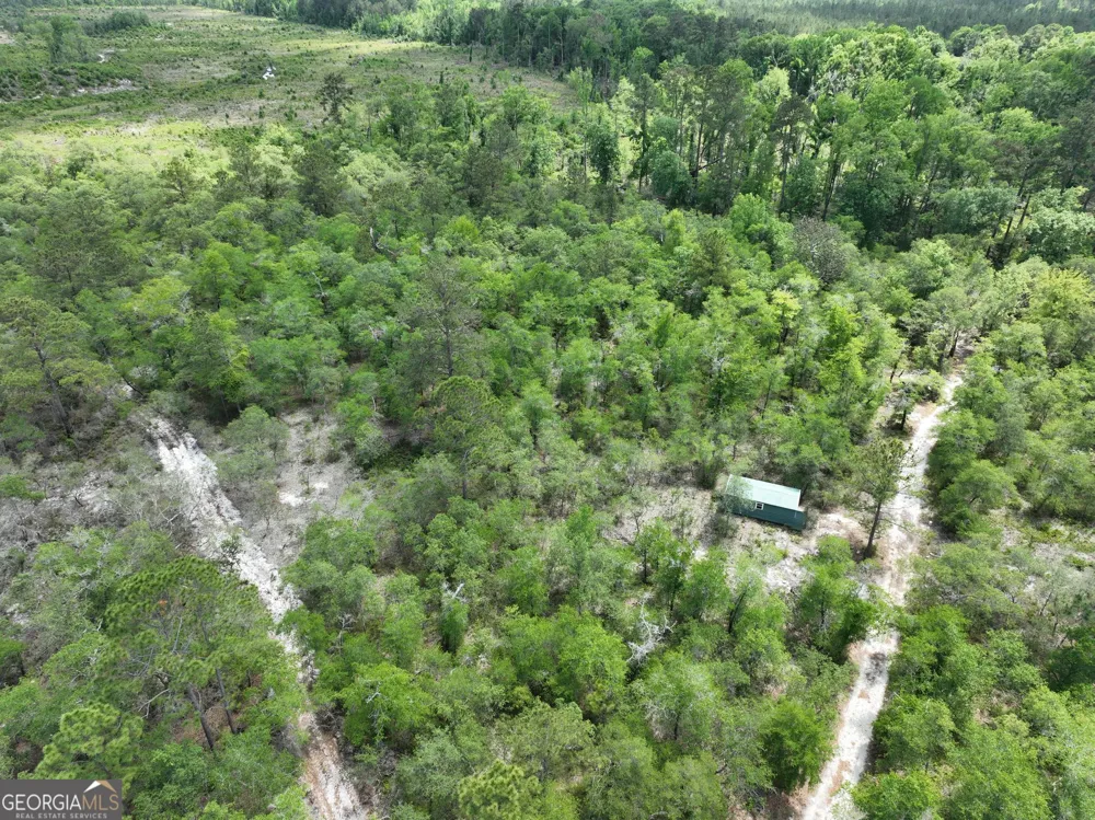8 Old Highway 46   (24.84 ac) Twin City, GA 30471